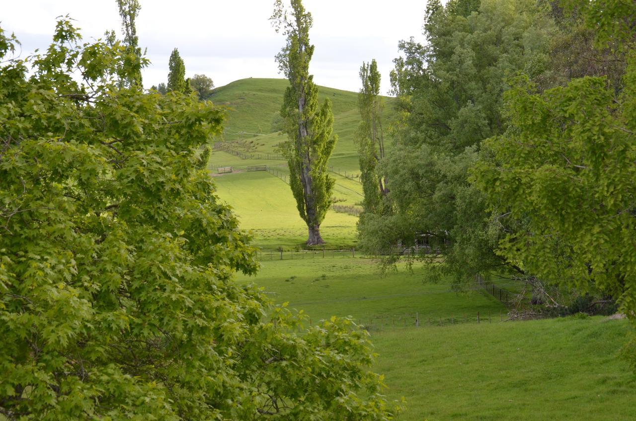 Ashcott Homestead Bed & Breakfast Takapau Eksteriør billede